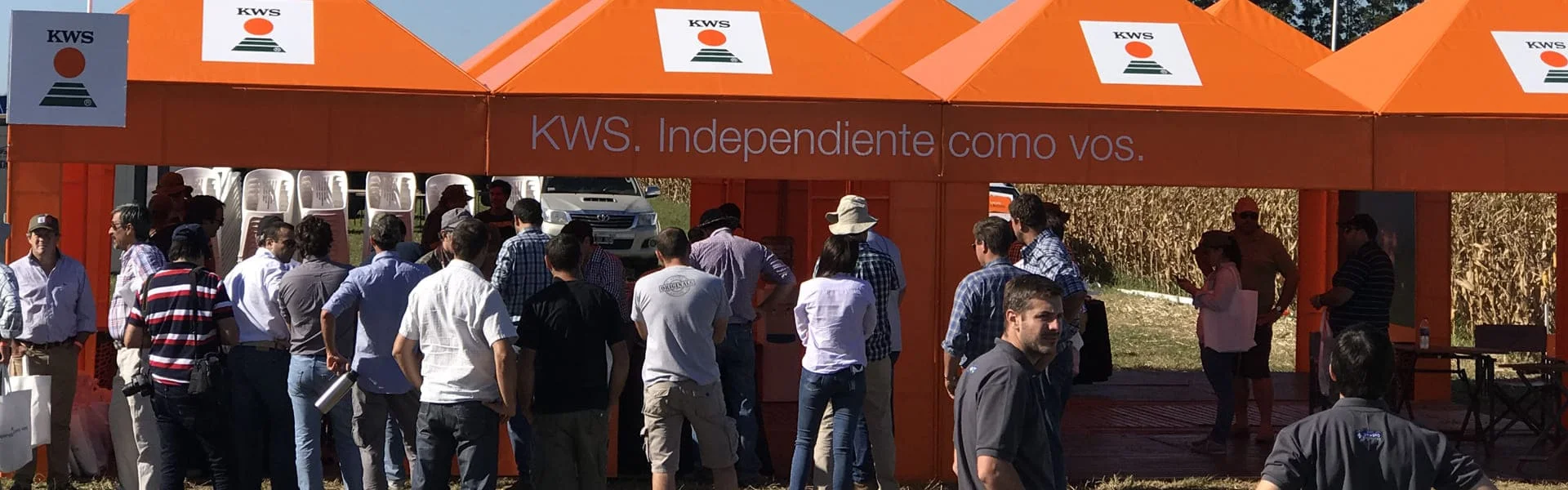 Imagen de muestra